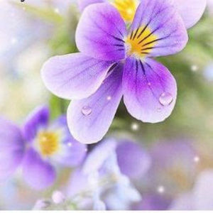 Meet your Posher, Espie